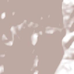 Concepción Terrain Map