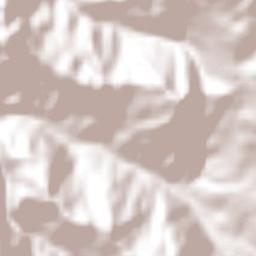 El Carmen de Chucurí Terrain Map