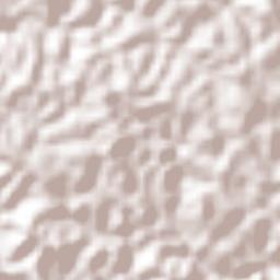 Santa Rosa de Osos Terrain Map