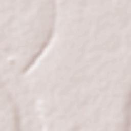 Idi Iroko Terrain Map