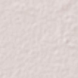 Mahaicony Village Terrain Map