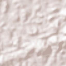 Toulépleu Gueré Terrain Map