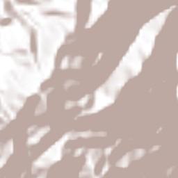 San Joaquín Terrain Map