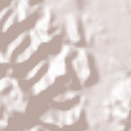 Carpenter Terrain Map