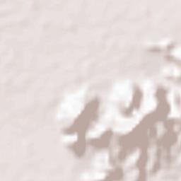 Linan (town) Terrain Map