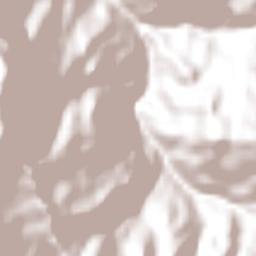 San Mateo Terrain Map