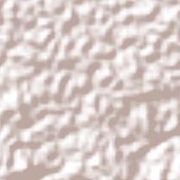 San Vicente Ferrer Terrain Map