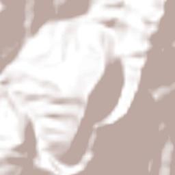 Ocamonte Terrain Map