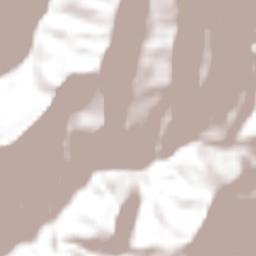 Coromoro Terrain Map