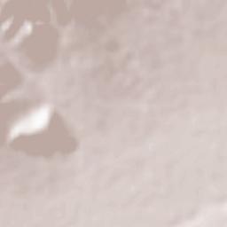 Felege Neway Terrain Map