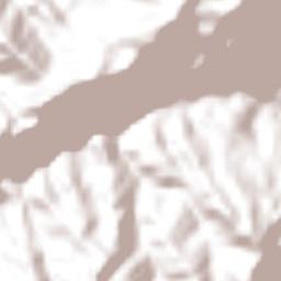 Landázuri Terrain Map