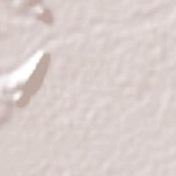 Paz de Ariporo Terrain Map