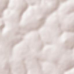 Garoua Boulaï Terrain Map