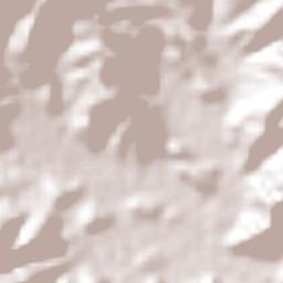 Floresta Terrain Map