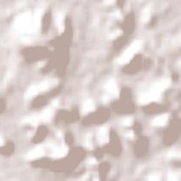 Puerto Ayacucho Terrain Map