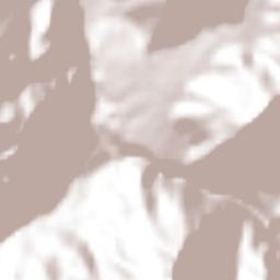 Labranzagrande Terrain Map