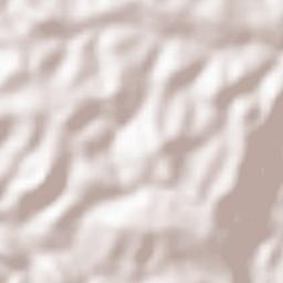 Bafoussam Terrain Map