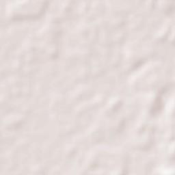 Tasek Glugor Terrain Map