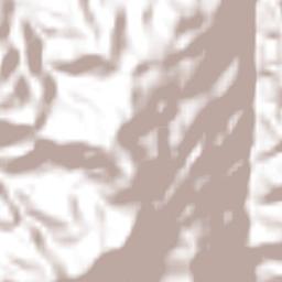 Filadelfia Terrain Map