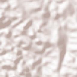 Hauts-Plateaux Terrain Map