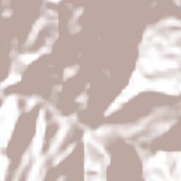 El Peñón Terrain Map