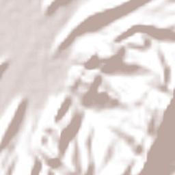 Cucunubá Terrain Map