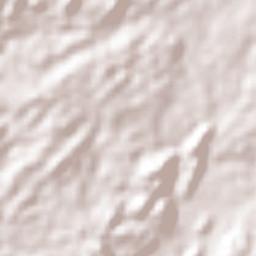 Medio San Juan Terrain Map