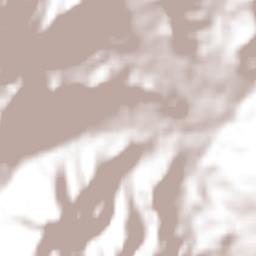 Risaralda Terrain Map