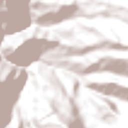 Chaguaní Terrain Map