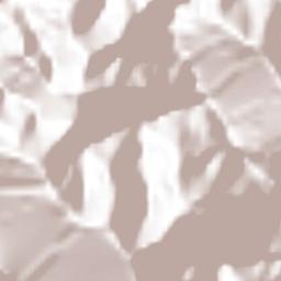 San José del Palmar Terrain Map