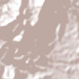 Ansermanuevo Terrain Map