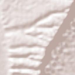 Monterrey Terrain Map