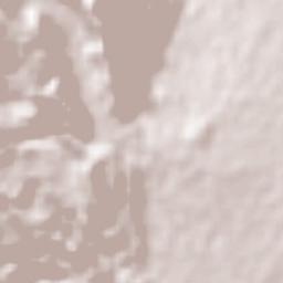 Venadillo Terrain Map