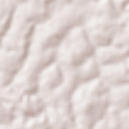 Nanga Eboko Terrain Map