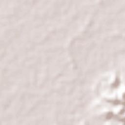 La Victoria Terrain Map