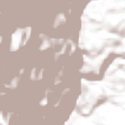 San Juanito Terrain Map