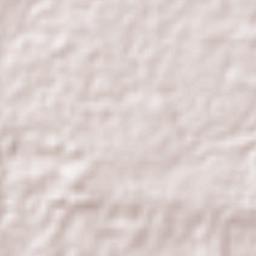 Cumaribo Terrain Map