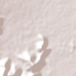 Roldanillo Terrain Map