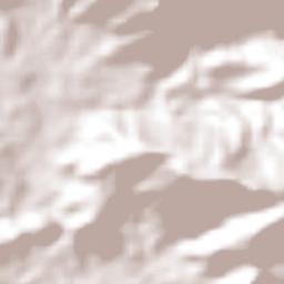 Pacaraima Terrain Map