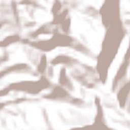 Buenavista Terrain Map