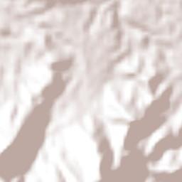 Caicedonia Terrain Map