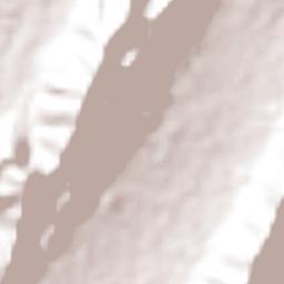 Valle de San Juan Terrain Map