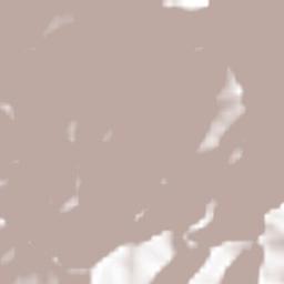 Gutiérrez Terrain Map