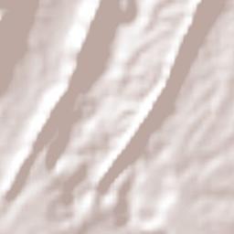 San Luis Terrain Map