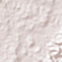 Carmen de Apicalá Terrain Map