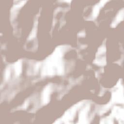 Roncesvalles Terrain Map