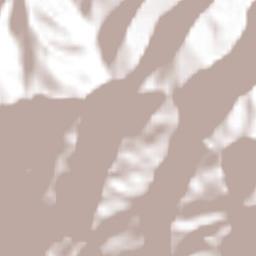 San Antonio Terrain Map