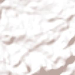 Villarrica Terrain Map