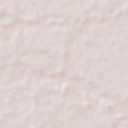 San Carlos de Guaroa Terrain Map