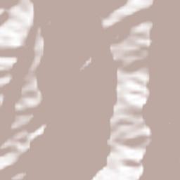 Rioblanco Terrain Map